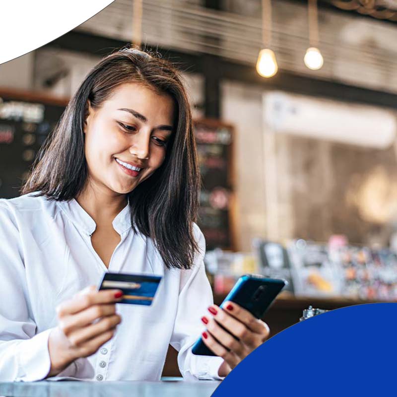 Online Payment Over The Website